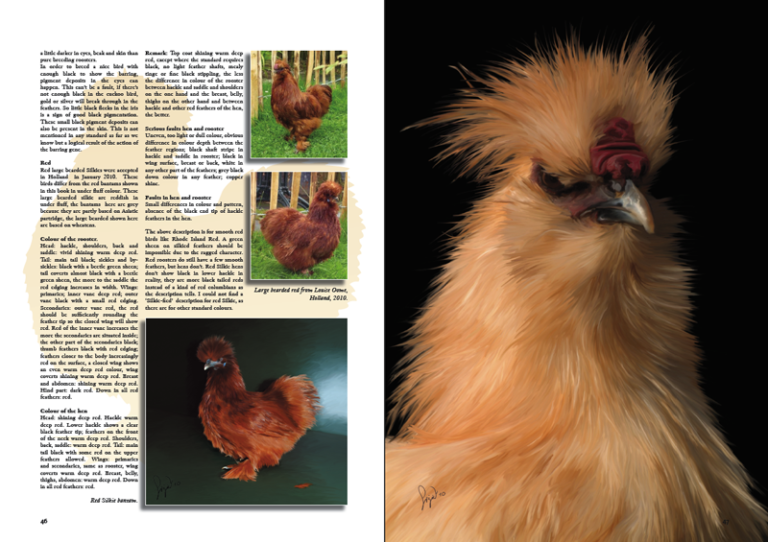 The Silkies & Silkie bantams book – CHICKENCOLOURS.com