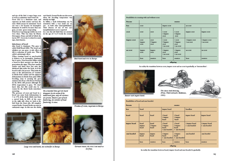 The Silkies & Silkie bantams book