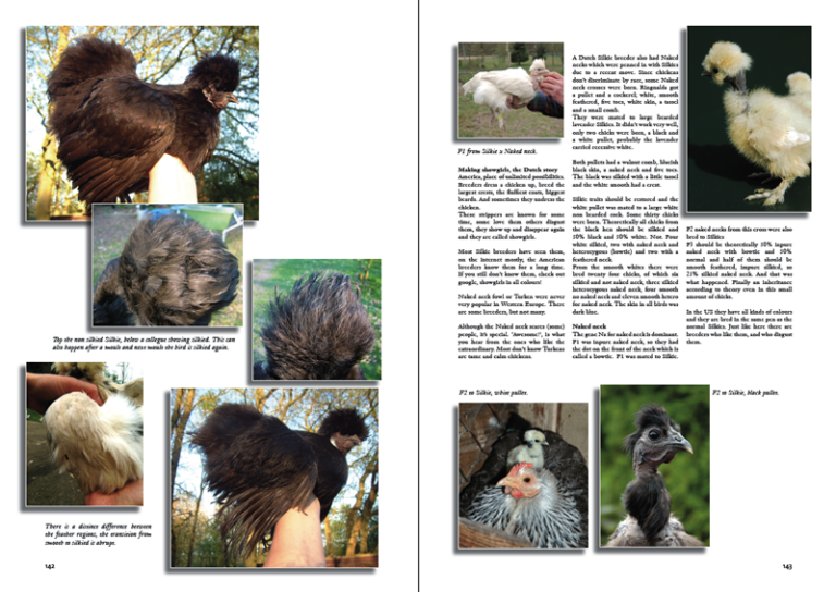 The Silkies & Silkie bantams book – CHICKENCOLOURS.com