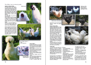 The Silkies & Silkie bantams book – CHICKENCOLOURS.com