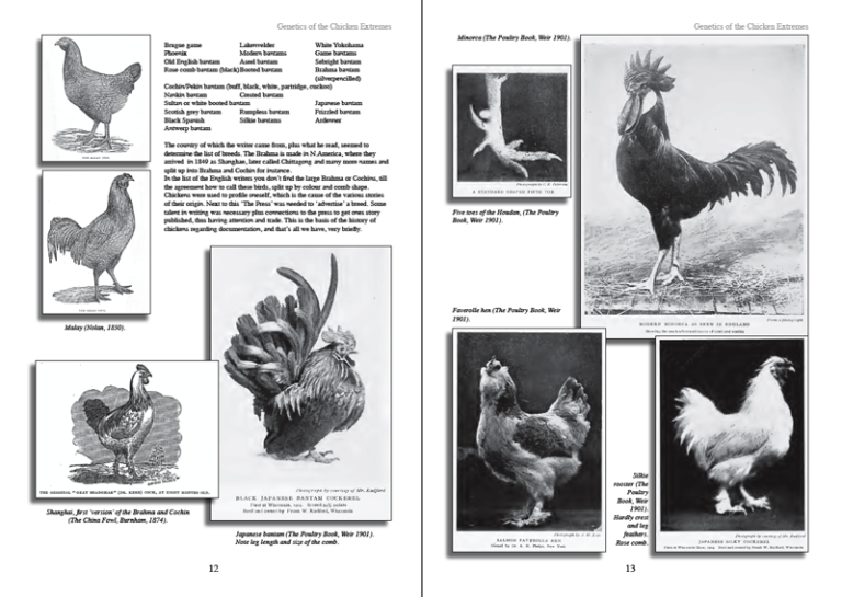 Genetics of Chicken Extremes book – CHICKENCOLOURS.com