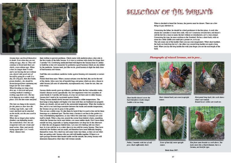 The New Serama book – CHICKENCOLOURS.com